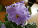 P1230216
