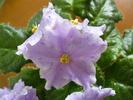 P1230217