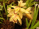 DSC06325