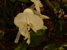 DSC06356