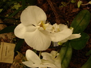 DSC06357
