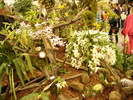 DSC06362