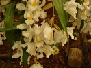 DSC06365