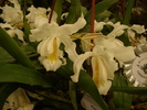 DSC06366