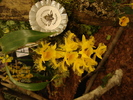 DSC06367