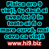 pisica_are_9_vieti_u_daca_ai_avea_tot_9_in_toate_ai_fi_o_mare_curva_mai_ceva_ca_viata