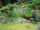 Japanese Garden (2009, June 27)