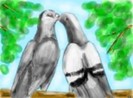 doi porumbei care se saruta