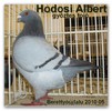 Hodosi Albert