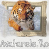 www_avatarele_ro__1240661659_336315