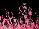 backgroundpinkflowers