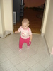 DSC07341