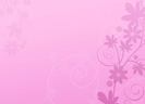 Pink-wallpaper-pink-color-10579442-1024-740
