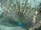 DSC02774