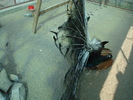 DSC02777