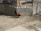 DSC02757