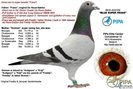BE05-4045169internet