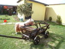 DSC07357