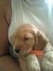 Image0014