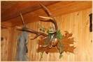 Picture6