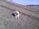 Fotografii-0347