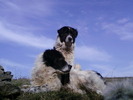 Fotografii-0375