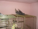 2010-01-19 23-38-39_0011