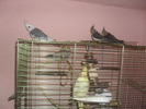 2010-01-19 23-40-12_0006