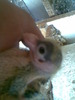 Imag001