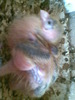 Imag009