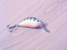 Pic-20100329-022