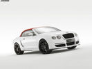 mansory_2008-Convertible-Bentley-Continental-GTC-003_2