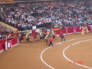 corrida de torros 13-10-2008 017