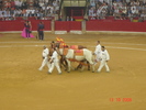 corrida de torros 13-10-2008 018