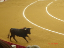 corrida de torros 13-10-2008 020