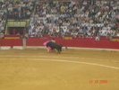 corrida de torros 13-10-2008 021