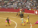 corrida de torros 13-10-2008 025