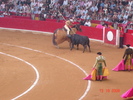 corrida de torros 13-10-2008 027