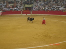 corrida de torros 13-10-2008 031