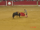 corrida de torros 13-10-2008 033