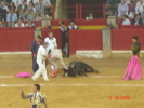 corrida de torros 13-10-2008 039