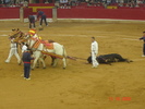 corrida de torros 13-10-2008 043