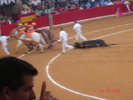 corrida de torros 13-10-2008 044