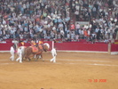 corrida de torros 13-10-2008 067