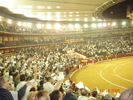 corrida de torros 13-10-2008 089
