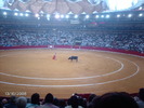 IMAG0865