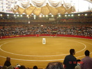 corrida de torros 13-10-2008 001
