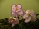 P1230524