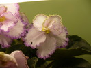 P1230526