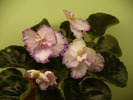 P1230530